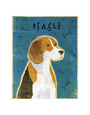 Beagle Impressão artística por John Golden