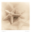 Il Oceano I Reproduction d'art par Alan Blaustein