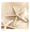 Il Oceano II Reproduction d'art par Alan Blaustein