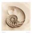 Il Oceano IV Reproduction d'art par Alan Blaustein