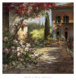 Casas de campo Pósteres