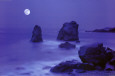 Garapatta Cove Póster por William Hartshorn