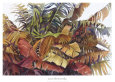 Paradise Leaves Lámina por Lois Brezinski