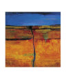 Fissures