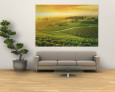Vineyard, Hunter Valley, Australia Mural por Peter Walton