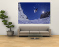 Athletes (Color Photography) Posters