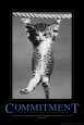 Cats (B&W Photography) Posters
