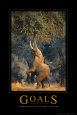 Elephants (Color Photography) Posters