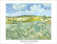 Plain Near Auvers (van Gogh) Pósteres