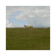 Prairie, c.2007