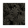 Plantes, c.2004