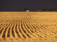 Landscape of Farm Field after Storm, Kansas Lámina fotográfica por Brimberg & Coulson