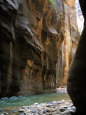 The Virgin River Flows Through Narrows Canyon in Zion National Park, Utah Lámina fotográfica por Stacy Gold