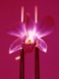 Pink Orchid (Phalaenopsis) as Table Decoration Lámina fotográfica por Hartmut Kiefer