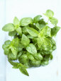 A Pot of Basil Photographic Print by Marc O. Finley