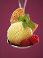 Raspberries Posters