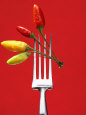 Four Chili Peppers on a Fork Lámina fotográfica por Marc O. Finley