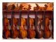 Violines (fotografía en color) Pósteres
