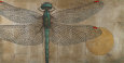 Dragonfly on Silver Lámina por Patricia Quintero-Pinto