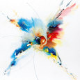 Flying Colours I