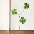 Clover Posters