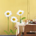Gänseblümchen