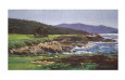 Cypress 17
