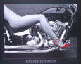 Harvey Edwards Posters