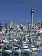 Westhaven Marina, Auckland, New Zealand