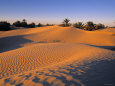 Sahara Desert, Douz,Tunisia