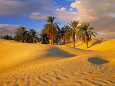 Sand Dunes and Oasis, Desert, Tunisia