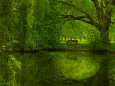 Landscapes (Trigger Images) Posters