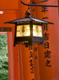 Torii Gates Posters