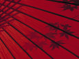 Umbrellas (Color Photography) Posters