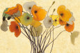 Orange Flowers (Decorative Art) Posters