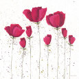 Bloom III Lámina por Amanda Mcandrews