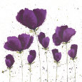 Flor I