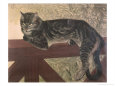Cat on Balustrade