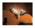 Sleeping Soundly