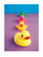 Famille Nombreuse