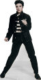Elvis Jailhouse Rock