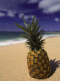 Piñas tropicales Pósteres
