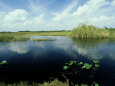 Everglades, Florida Photographie par David Tipling