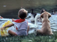 Little Boy and Puppy Looking at Ducks in Pond Lámina fotográfica por Katie Deits