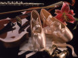 Dance Shoes (Color Photography) Posters