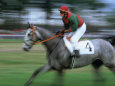 Man Riding Horse in a Steeplechase