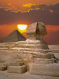 Egyptiske pyramider Posters