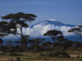 Mont Kilimanjaro Affiches