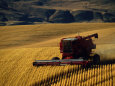 Photographies couleur de fermes Posters