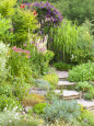 Gravel and Wood Steps Leading up Through Informal Summer Border Photographic Print by Mark Bolton